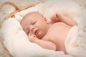 crib rental sarasota