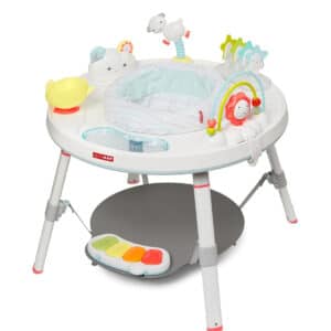 Skip Hop Baby Activity Center