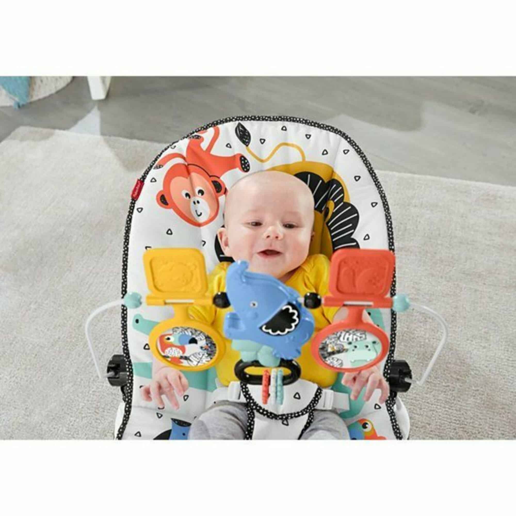 Fisher-Price Deluxe Bouncer: Signature Style