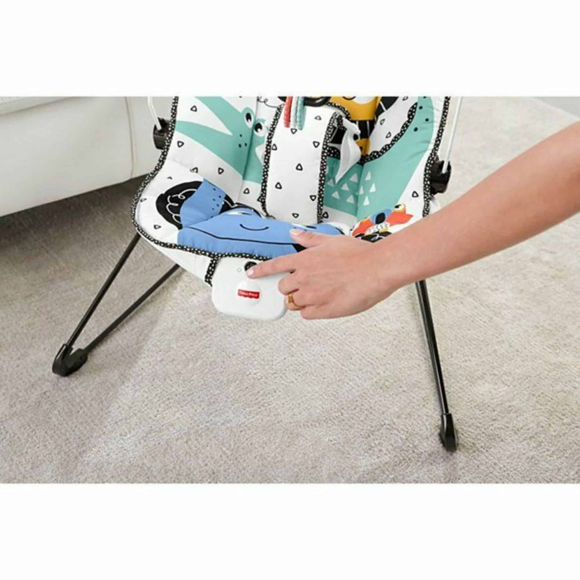 Fisher-Price Deluxe Bouncer: Signature Style