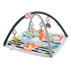 Fisher-Price Infant Activity Play Mat